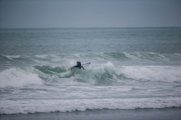 Alley Rat - Fusion Pro