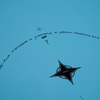 CheckMate - Tuflite Pro - Single