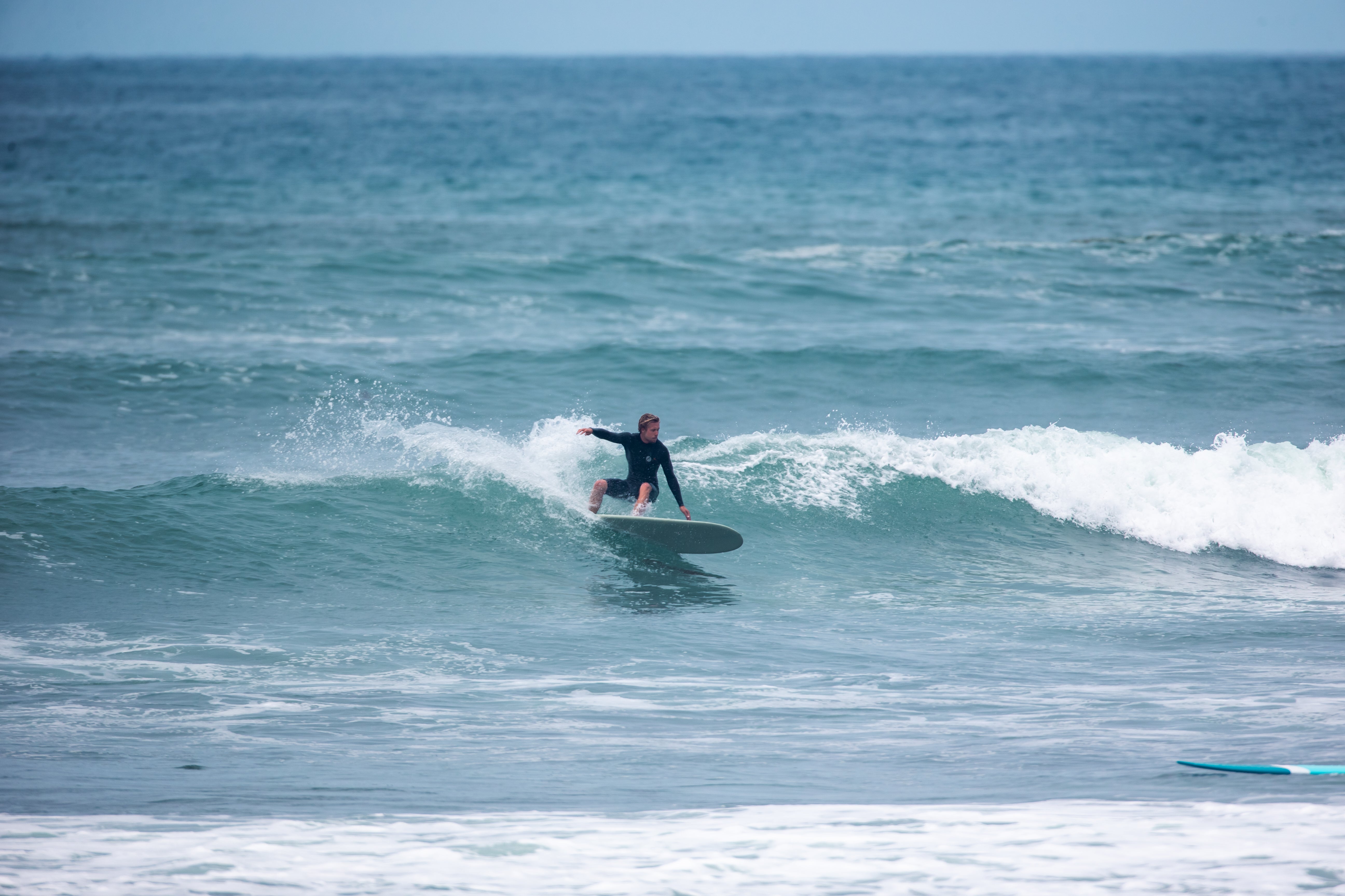 ProMod 2 - NFT (Flax) - 2+1 Futures